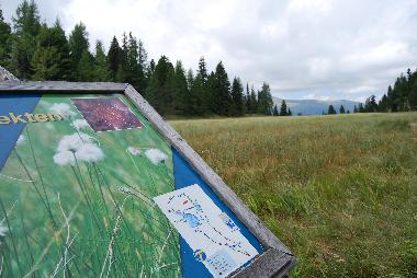 Chalet in Turracher Hhe (Oberkrnten) or holiday homes and vacation rentals