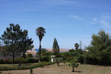 Back view of the garden.