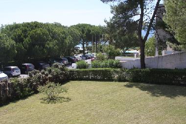 Front view of the garden.