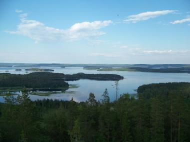 Lookout Oravivuori