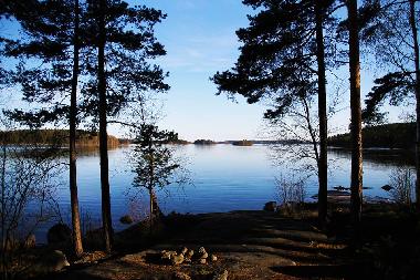 Shore in May
