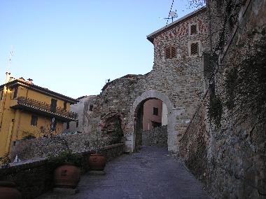 Holiday Apartment in Scarlino (Grosseto) or holiday homes and vacation rentals