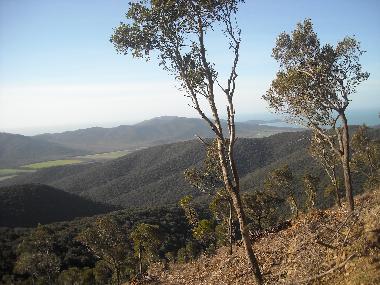 Holiday Apartment in Scarlino (Grosseto) or holiday homes and vacation rentals