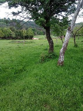 Holiday House in Silleda (Pontevedra) or holiday homes and vacation rentals