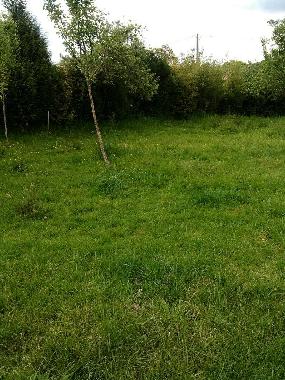 Holiday House in Silleda (Pontevedra) or holiday homes and vacation rentals