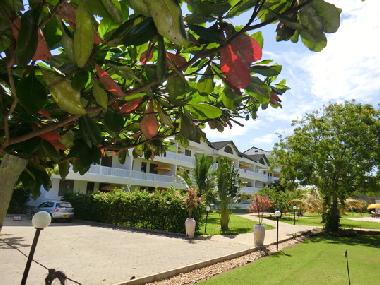 Holiday Apartment in Diani (Coast) or holiday homes and vacation rentals
