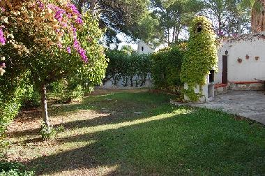 Holiday House in MIAMI PLATJA (Tarragona) or holiday homes and vacation rentals