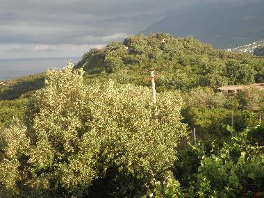 Bed and Breakfast in Dhermi (Vlore) or holiday homes and vacation rentals