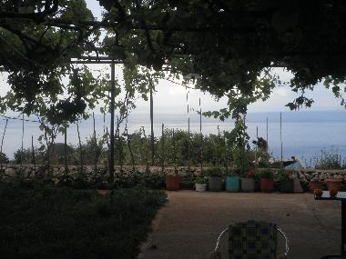 Bed and Breakfast in Dhermi (Vlore) or holiday homes and vacation rentals