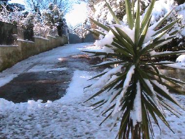 Holiday House in Ceglie Messapica (Taranto) or holiday homes and vacation rentals