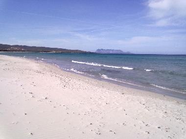 Holiday Apartment in tanaunella (Olbia-Tempio) or holiday homes and vacation rentals