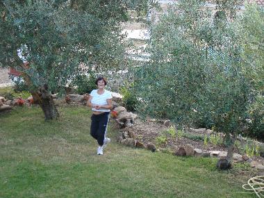 Holiday Apartment in tanaunella (Olbia-Tempio) or holiday homes and vacation rentals