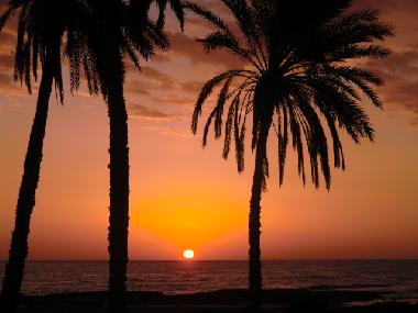 Holiday Apartment in zarzis (Madanin) or holiday homes and vacation rentals