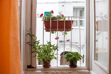 Holiday House in Monopoli (Bari) or holiday homes and vacation rentals