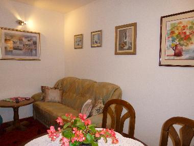 sofa in the living room