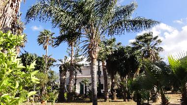 Villa in Carini (Palermo) or holiday homes and vacation rentals