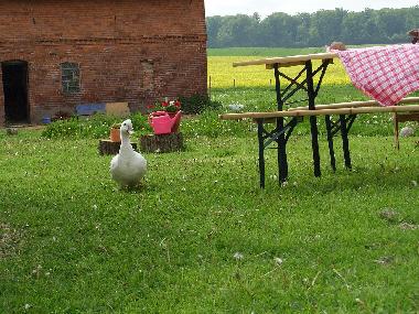 Holiday Apartment in Khsen (Herzogtum Lauenburg) or holiday homes and vacation rentals