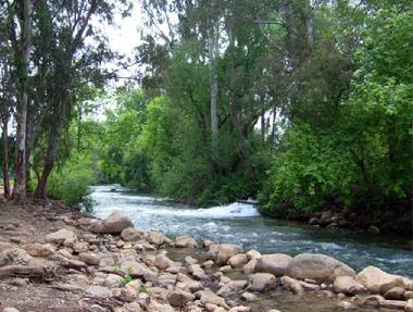 Tel Dan Nature Reserve