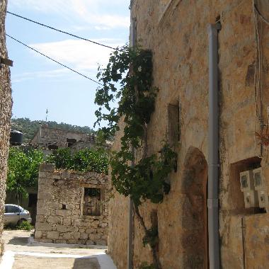 The Entrance of the House