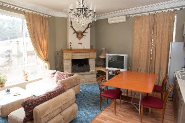 Holiday Apartment in Tbilisi (Tbilisi) or holiday homes and vacation rentals
