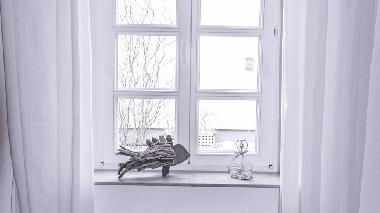 Holiday Apartment in Berlin (Treptow) or holiday homes and vacation rentals