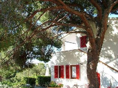 Holiday Apartment in ELBA - CAPOLIVERI (Livorno) or holiday homes and vacation rentals