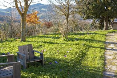 Villa in Fermignano (Pesaro e Urbino) or holiday homes and vacation rentals