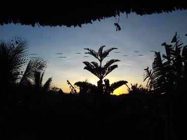 Holiday House in Galu Beach (Coast) or holiday homes and vacation rentals