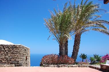 Holiday House in pantelleria (Trapani) or holiday homes and vacation rentals