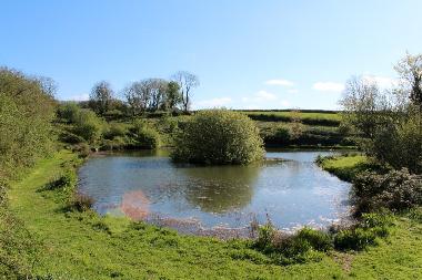 Holiday House in Tavistock (South West) or holiday homes and vacation rentals