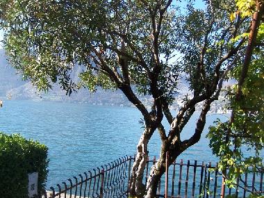 Holiday House in Monte Isola (Brescia) or holiday homes and vacation rentals