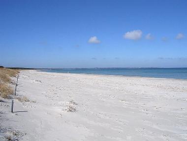 Holiday House in Trent (Ostsee-Inseln) or holiday homes and vacation rentals