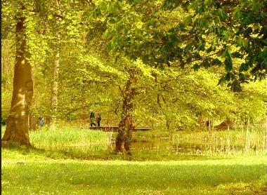 Holiday House in Trent (Ostsee-Inseln) or holiday homes and vacation rentals