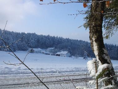 Holiday Apartment in Zachenberg (Lower Bavaria) or holiday homes and vacation rentals