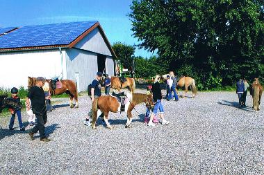 Holiday Apartment in Dagebll (Nordsee-Festland) or holiday homes and vacation rentals