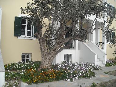 Holiday Apartment in Syros (Kyklades) or holiday homes and vacation rentals