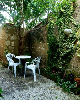 The courtyard garden