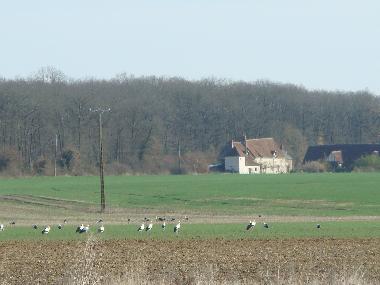 Holiday House in Nazelles-N�gron (Centre) or holiday homes and vacation rentals