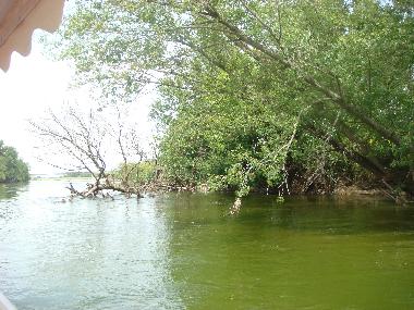 Holiday House in Nazelles-N�gron (Centre) or holiday homes and vacation rentals