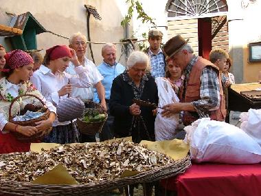 Holiday Apartment in BORGO VAL DI TARO (Parma) or holiday homes and vacation rentals