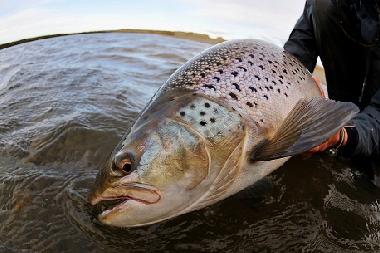 Holiday Apartment in BORGO VAL DI TARO (Parma) or holiday homes and vacation rentals