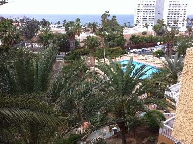 Holiday Apartment in Adeje (Teneriffa) or holiday homes and vacation rentals