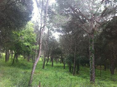 Holiday House in PLATJA D