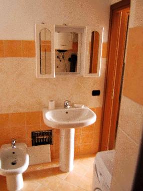 Villa in porto san paolo (Olbia-Tempio) or holiday homes and vacation rentals