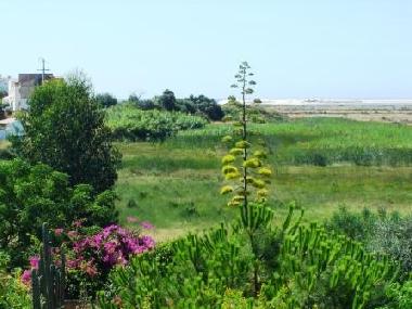 From the terrace we could see  the sea