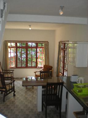 Open Kithenette and Living area in the apartment