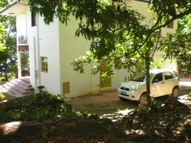 Back of the Property