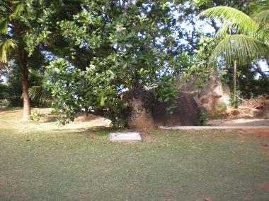 Front garden