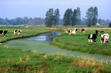 Holiday House in SAINTE MERE EGLISE (Manche) or holiday homes and vacation rentals