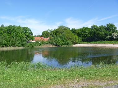 Holiday House in Ommen (Overijssel) or holiday homes and vacation rentals